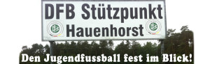 banner dfb