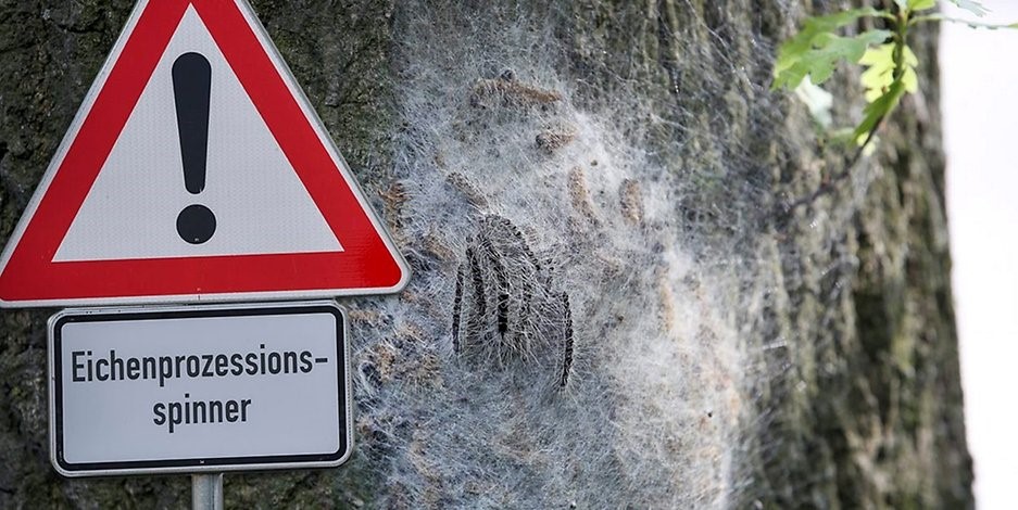 Es Saugt Und Bläst Der Heinzelmann Original Es saugt und bläst der Heinzelmann… – SV Germania Hauenhorst 1930 e.V.